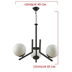 Tanya 3'lü Bal Renk Camlı Siyah Modern Avize