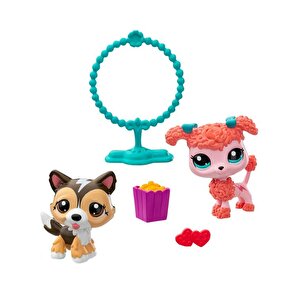 Littlest Pet Shop Minişler 2li Paket S2 Çoban Köpeği Ve Poodle 00584