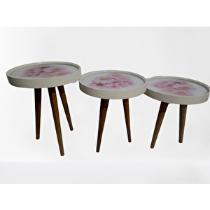 Zigon19628 Sehpa Çember Pembe Karanfi̇l Model Kayın Retro Ceviz 3 Ayak Üstü Cam