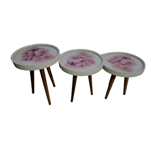 Zigon19628 Sehpa Çember Pembe Karanfi̇l Model Kayın Retro Ceviz 3 Ayak Üstü Cam