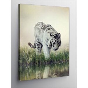 Kanvas Tablo Su Kenarındaki Kaplan 50x70 cm