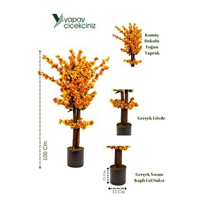 Beyaz Renkli̇ Saksida Sonbahar Renkli̇ 100 Cm Yapay Japon Bahardali Ağaci