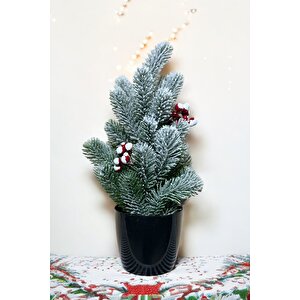 Kokinalı Kar Desenli Yılbaşı Çam Ağacı 36 Cm