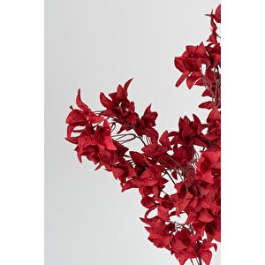 Yapay Begonvil Dalı