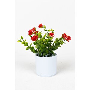 3 Adet Mini Beyaz Saksıda Yapay Çiçek Seti