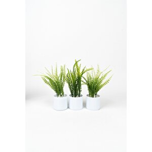 3 Adet Mini Beyaz Saksıda Yapay Çiçek Seti