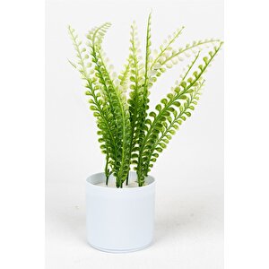 3 Adet Mini Beyaz Saksıda Yapay Çiçek Seti