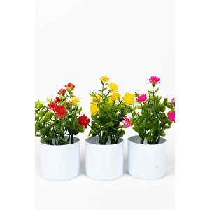 3 Adet Mini Beyaz Saksıda Yapay Çiçek Seti