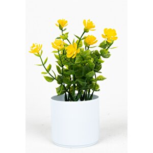 3 Adet Mini Beyaz Saksıda Yapay Çiçek Seti