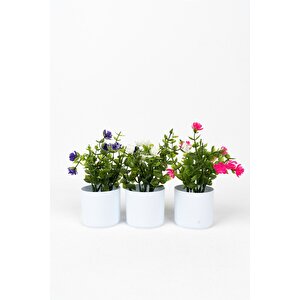 3 Adet Mini Beyaz Saksıda Yapay Çiçek Seti