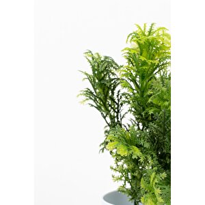 3 Adet Mini Beyaz Saksıda Yapay Çiçek Seti