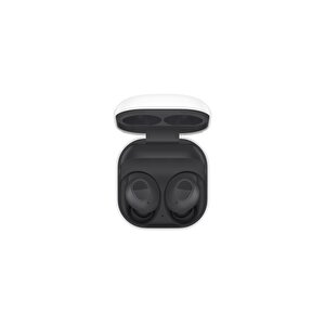 Galaxy Buds Fe Grafit