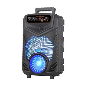 Kablosuz Hoparlör 8 Inç Büyük Boy Bluetooth Speaker Karaoke Mikrofon Işıklı Parti Fmradyo Aux Sd Usb