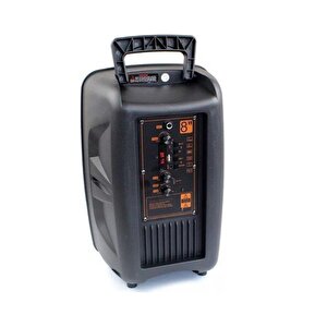 Büyük Speaker Bluetooth Hoparlör Parti Karaoke Mikrofonlu Ses Bombası 26cm Işıklıö8inç Aux/fm/usb/sd