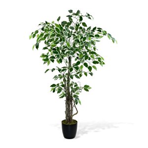 Yapay Ağaç Benjamin 120cm Yeşilbeyaz Çalılı Siyah Plastik Saksılı