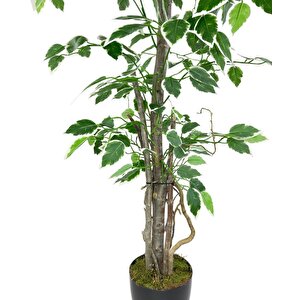 Yapay Ağaç Benjamin 120cm Yeşilbeyaz Çalılı Siyah Plastik Saksılı