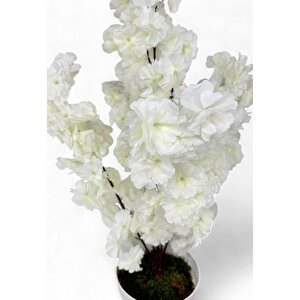 Yapay Ağaç Bahardalı Ağacı Beyaz Japon Kiraz Çiçeği Sakura Çiçeği 80cm Beyaz Plastik Saksılı