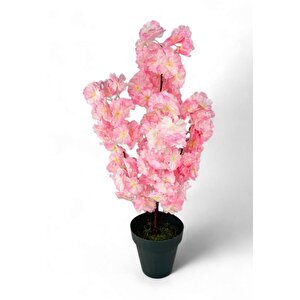 Yapay Ağaç Bahardalı Ağacı Pembe Japon Kiraz Çiçeği Sakura Çiçeği 70cm Siyah Plastik Saksılı