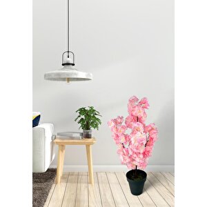 Yapay Ağaç Bahardalı Ağacı Pembe Japon Kiraz Çiçeği Sakura Çiçeği 70cm Siyah Plastik Saksılı