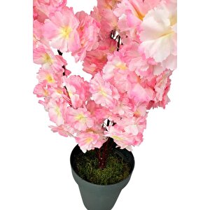 Yapay Ağaç Bahardalı Ağacı Pembe Japon Kiraz Çiçeği Sakura Çiçeği 70cm Siyah Plastik Saksılı