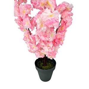 Yapay Ağaç Bahardalı Ağacı Pembe Japon Kiraz Çiçeği Sakura Çiçeği 70cm Siyah Plastik Saksılı