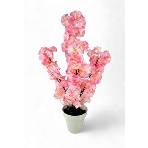 Yapay Ağaç Bahardalı Ağacı Pembe Japon Kiraz Çiçeği Sakura Çiçeği 70cm Beyaz Plastik Saksılı