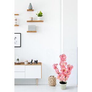 Yapay Ağaç Bahardalı Ağacı Pembe Japon Kiraz Çiçeği Sakura Çiçeği 70cm Beyaz Plastik Saksılı
