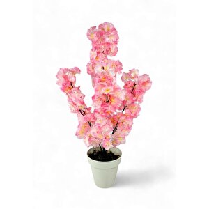 Yapay Ağaç Bahardalı Ağacı Pembe Japon Kiraz Çiçeği Sakura Çiçeği 70cm Beyaz Plastik Saksılı