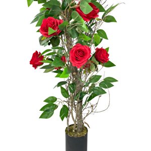 Yapay Ağaç Kırmızı Gül Ağacı 90cm Doğal Salex Dallı