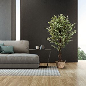 Yapay Ağaç Benjamin Yeşilbeyaz 2 Gövdeli Çalılı 165*80cm Siyah Plastik Saksılı