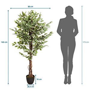 Yapay Ağaç Benjamin Yeşilbeyaz 2 Gövdeli Çalılı 165*80cm Siyah Plastik Saksılı
