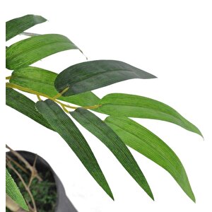 Yapay Ağaç Bambu Ağacı 2 Gövdeli Salex Li 90x30cm Siyah Plastik Saksılı