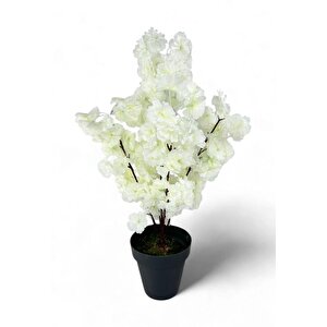 Yapay Ağaç Bahardalı Ağacı Beyaz Japon Kiraz Çiçeği Sakura Çiçeği 70cm Siyah Plastik Saksılı