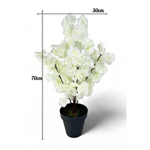 Yapay Ağaç Bahardalı Ağacı Beyaz Japon Kiraz Çiçeği Sakura Çiçeği 70cm Siyah Plastik Saksılı