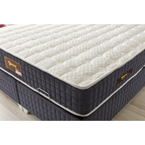 Tek Ki̇şi̇li̇k Semi̇rami̇s Baza+başlik+yatak 120x200 cm