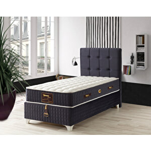 Tek Ki̇şi̇li̇k Semi̇rami̇s Baza+başlik+yatak 100x200 cm