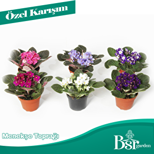Menekşe Toprağı 3 Litre Bsr Garden
