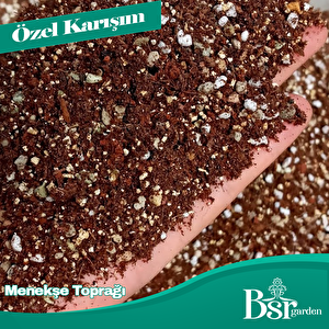 Menekşe Toprağı 3 Litre Bsr Garden
