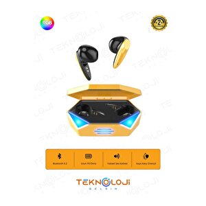 Oyuncu Kulaklığı Kablosuz Kulakiçi Rgb Işıklı Çift Mikrofonlu 3 Modlu Bluetooth 5.2 Tg-g20 G20