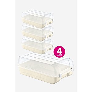 4'lü Set Erkek Latte Ayakkabı Kutusu