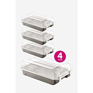 4'lü Set Kadın Terra Ayakkabı Kutusu