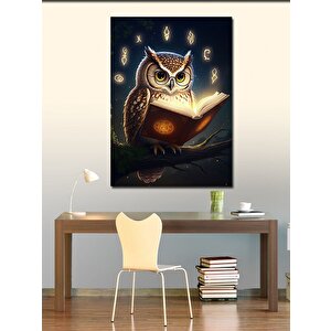 Kanvas Tablo Kitap Okuyan Baykuş 70x100 cm