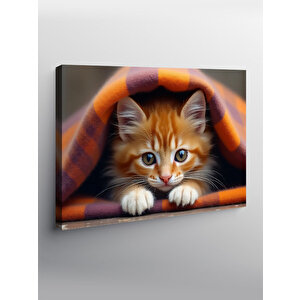 Kanvas Tablo Battaniyede Sevimli Kedi 50x70 cm