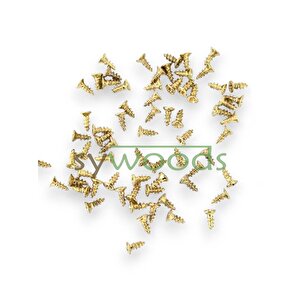 Mini Vida 2,2x5,5 Mm Sarı 1000 Adet Ahşap Menteşe Kilit Hobi Vidası