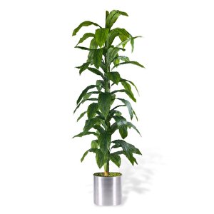 Yapay Ağaç Yukka Dracena 180*70cm Galvaniz Saksıda Salon Çiçeği Yapay Çiçek