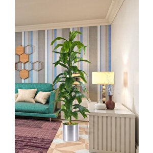 Yapay Ağaç Yukka Dracena 180*70cm Galvaniz Saksıda Salon Çiçeği Yapay Çiçek