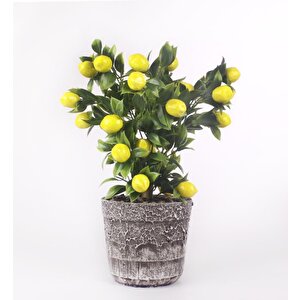 Limon Ağacı Seramik Saksıda Yapay Çiçek