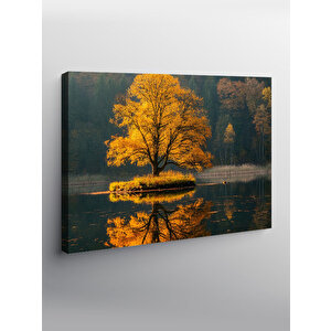 Kanvas Tablo Sonbahar Manzarası Ağacı 50x70 cm