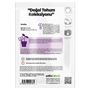 500 Adet Hindiba Tohumu