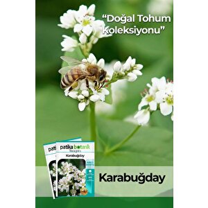 100 Adet Karabuğday Tohumu